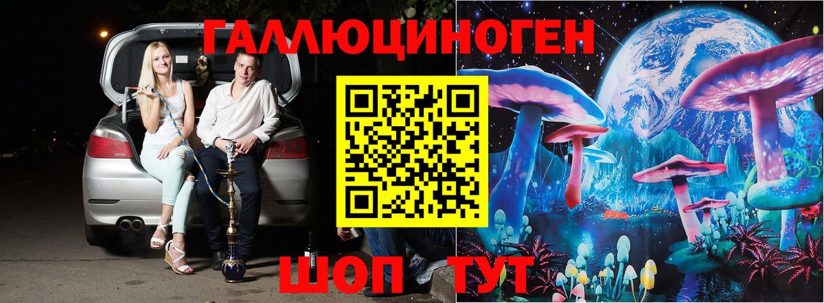 Псилоцибиновые грибы мицелий Комсомольск-на-Амуре