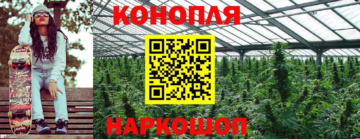 Бошки Шишки White Widow  МАРИХУАНА планчик  Марихуана AK-47  Комсомольск-на-Амуре  Вход с VPN 